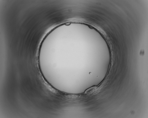 X0000099551248200806061509