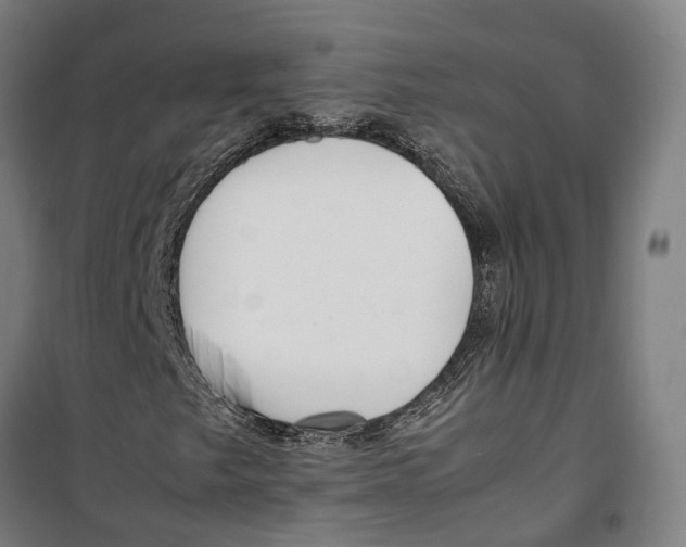 X0000099551249200806061509