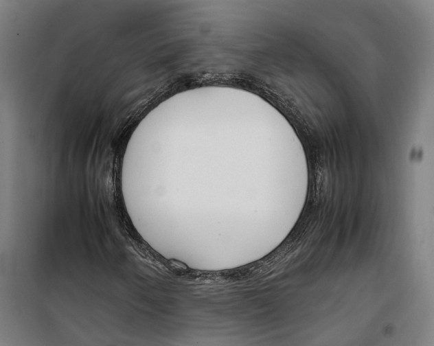 X0000099551250200806061509