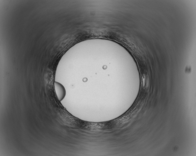 X0000099551251200806061509