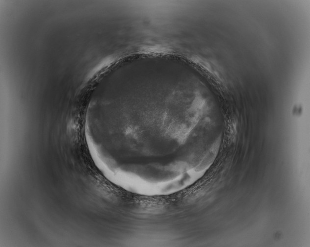 X0000099551254200806061509