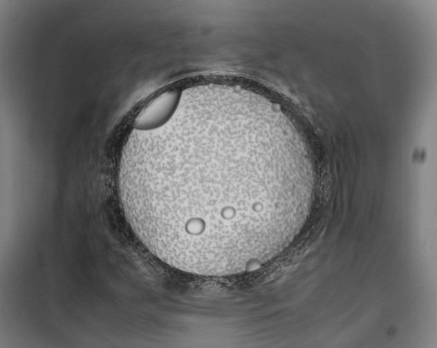 X0000099551255200806061509