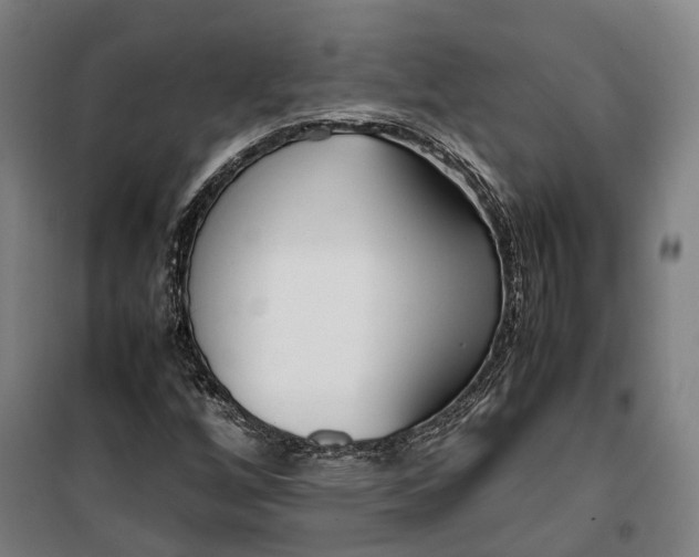 X0000099551256200806061509