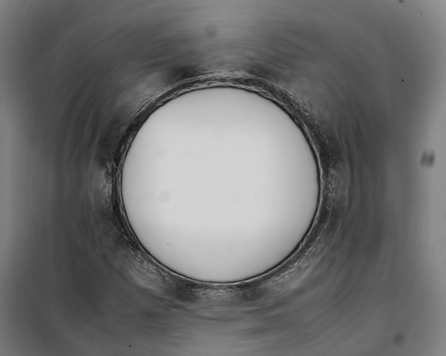 X0000099551257200806061509