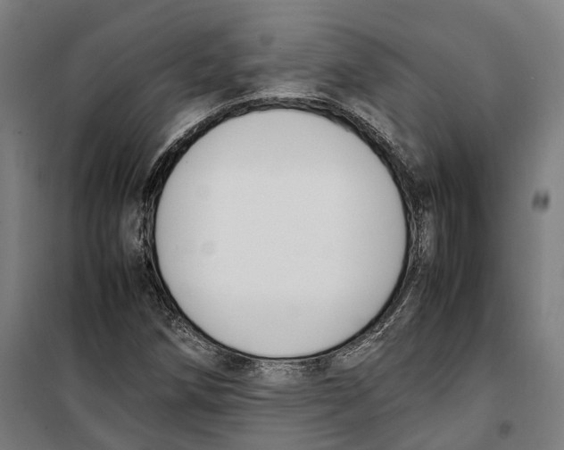 X0000099551258200806061509