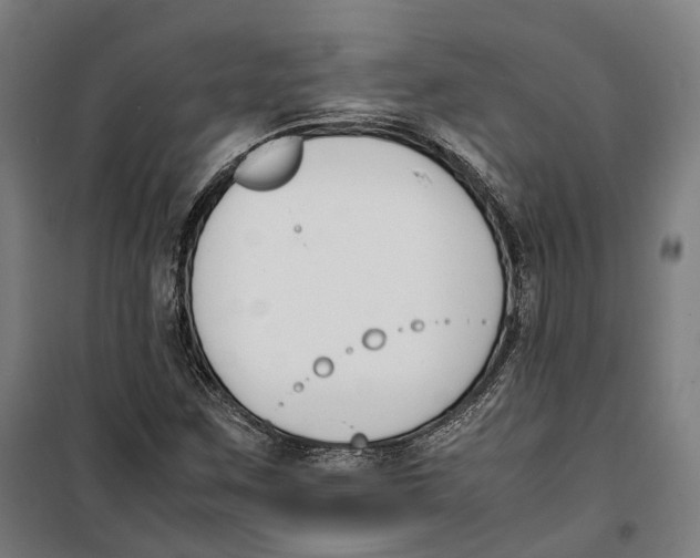 X0000099551259200806061509