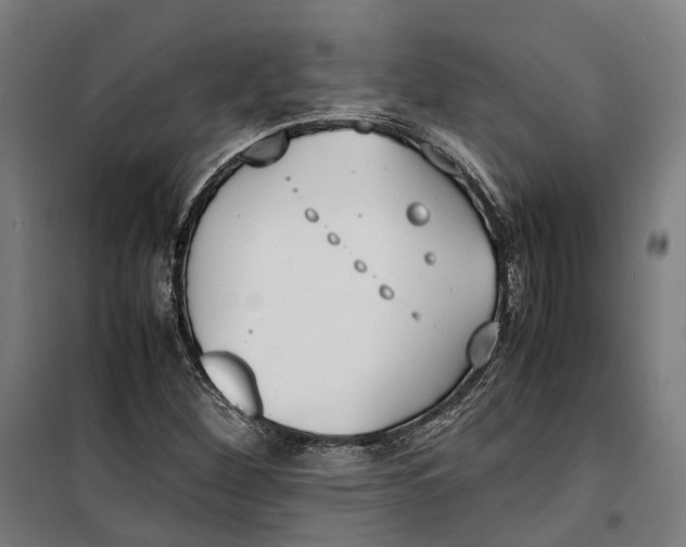 X0000099551260200806061509