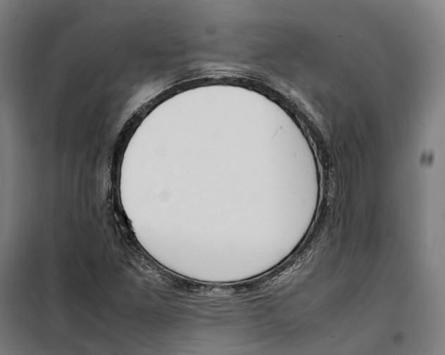 X0000099551261200806061509