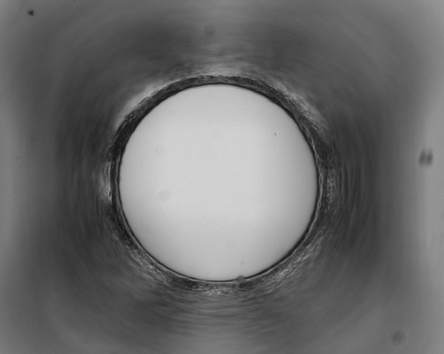 X0000099551262200806061509