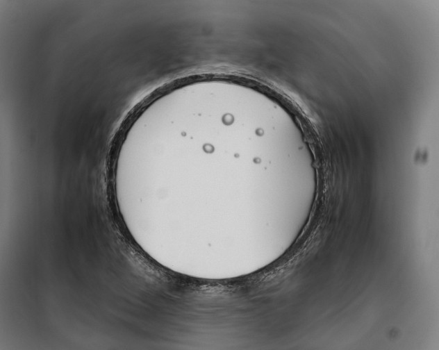 X0000099551264200806061508