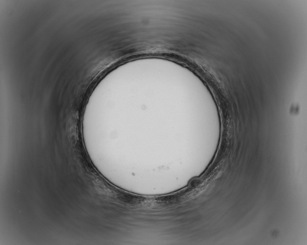 X0000099551265200806061508