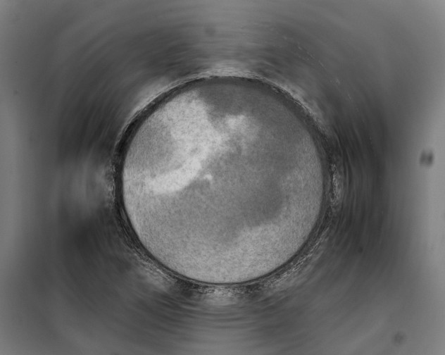 X0000099551266200806061508