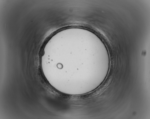 X0000099551267200806061508