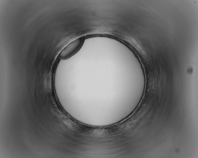 X0000099551268200806061508