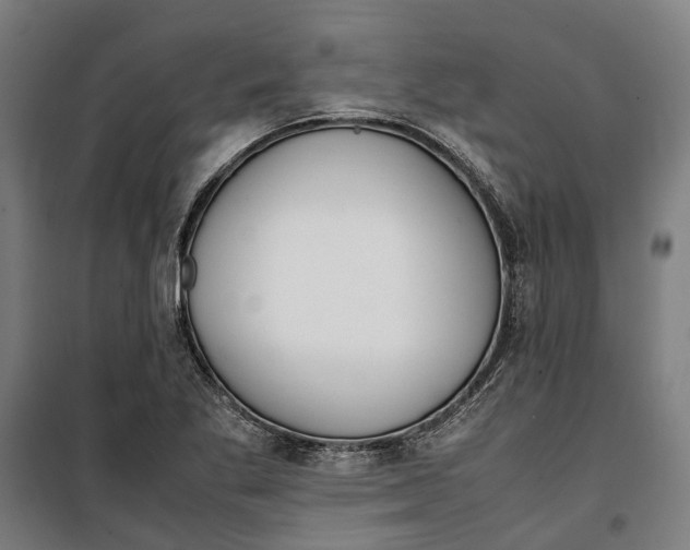 X0000099551269200806061508