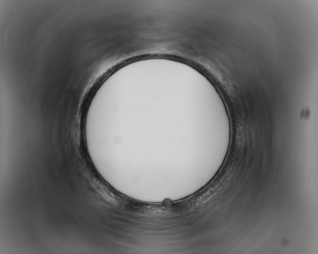 X0000099551270200806061508