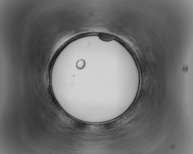 X0000099551271200806061508