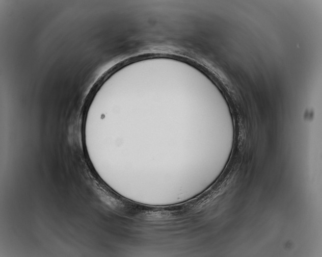 X0000099551272200806061508