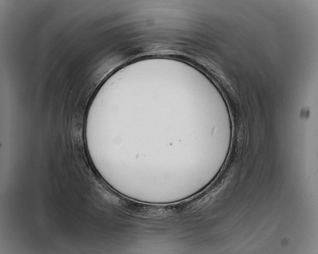 X0000099551273200806061508