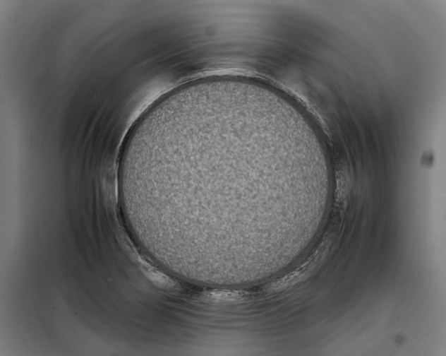 X0000099551274200806061508