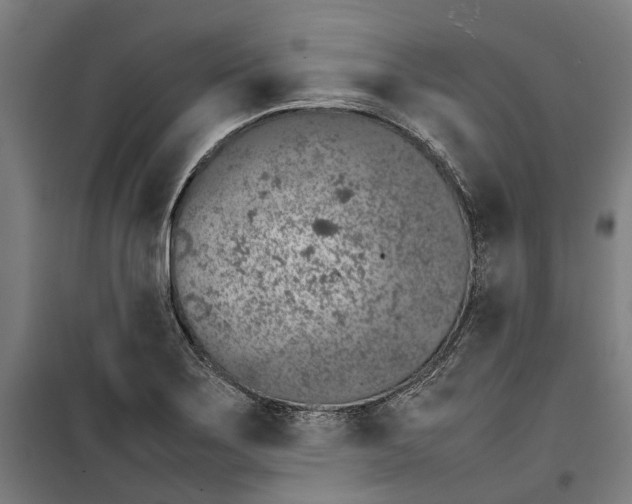 X0000099551275200806061508