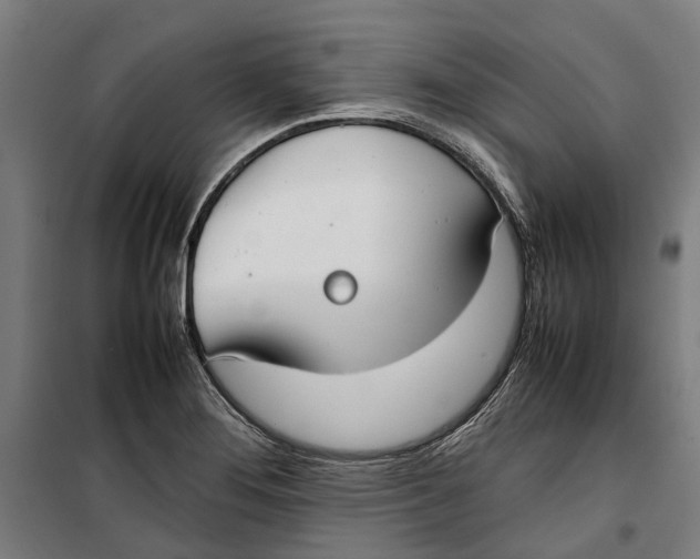 X0000099551276200806061508