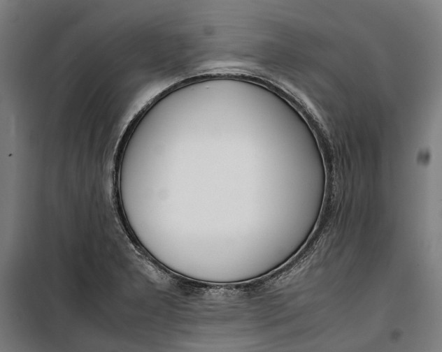 X0000099551277200806061508