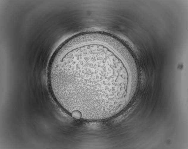 X0000099551278200806061508