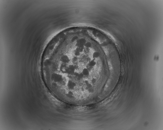 X0000099551279200806061508