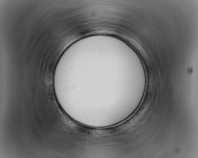 X0000099551281200806061508