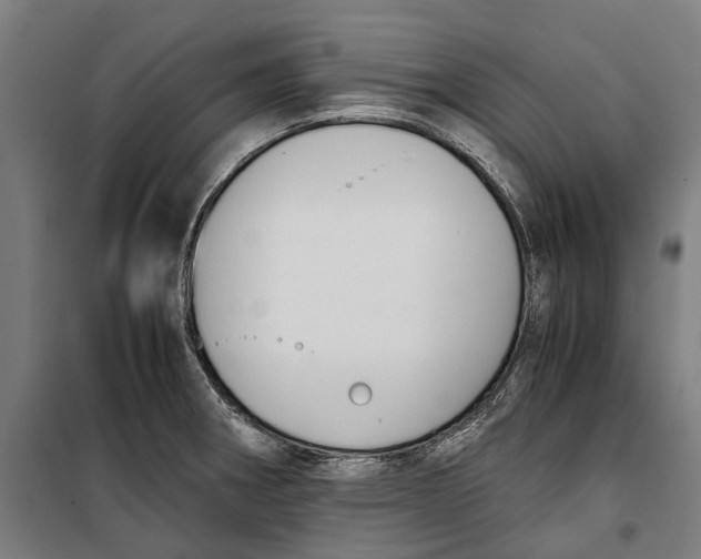 X0000099551282200806061508