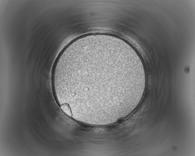 X0000099551283200806061508