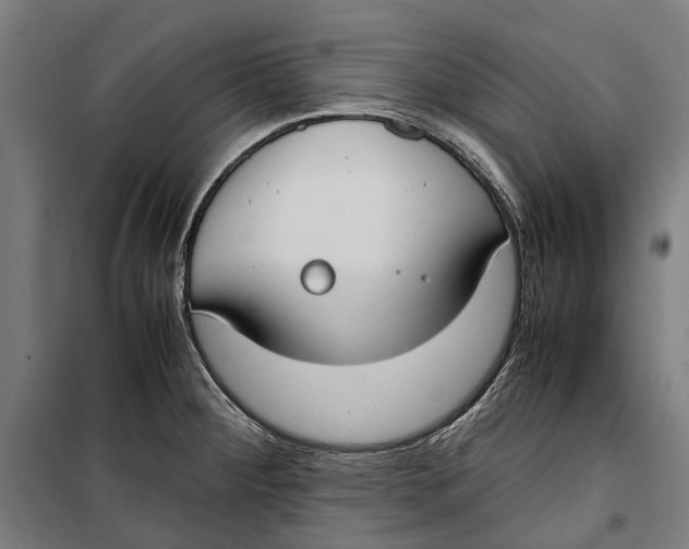 X0000099551284200806061508