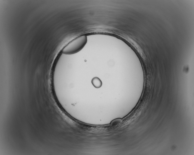 X0000099551285200806061508