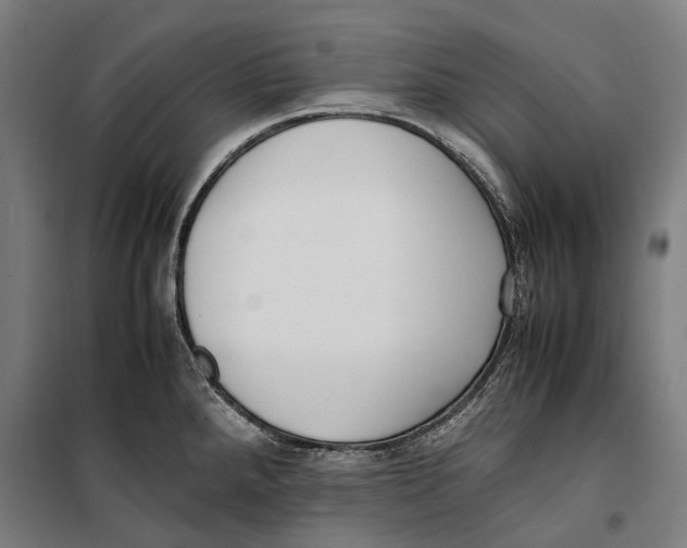 X0000099551288200806061508