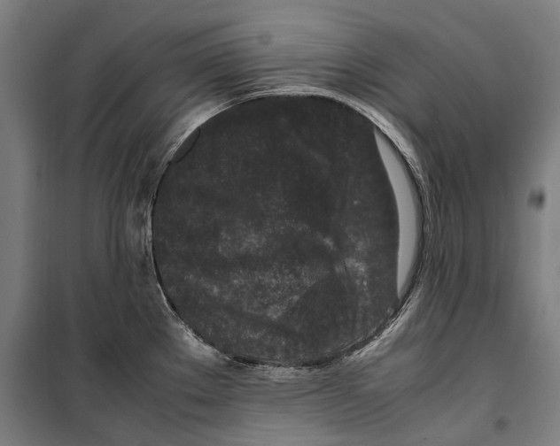 X0000099551289200806061508