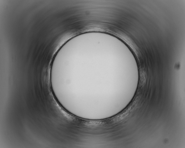 X0000099551290200806061508