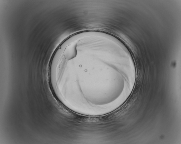 X0000099551291200806061508