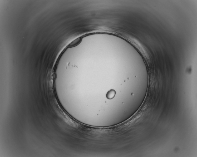 X0000099551292200806061508