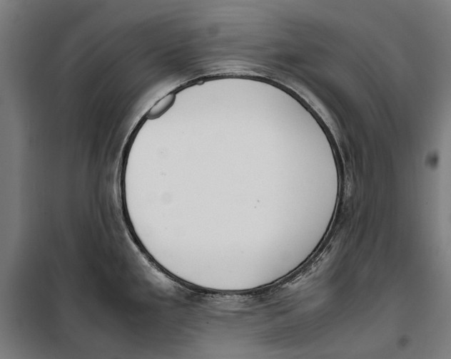 X0000099551293200806061508