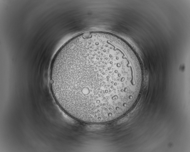 X0000099551294200806061508