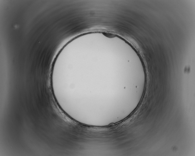 X0000099551296200806061508