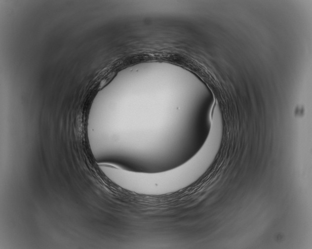 X0000099551298200806061507