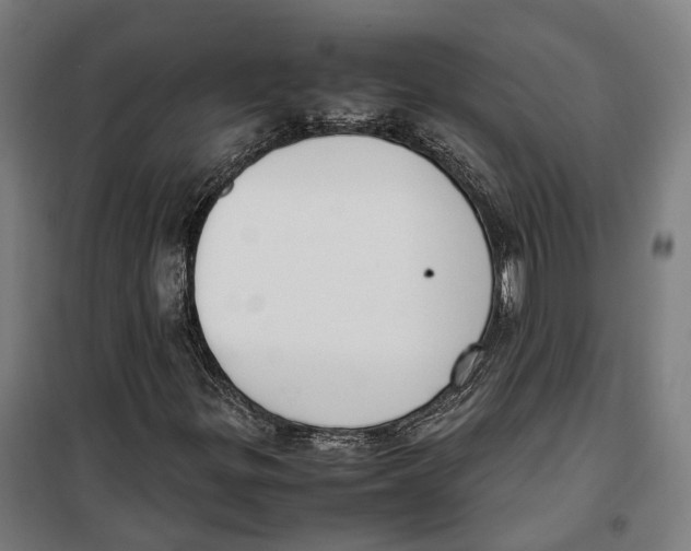 X0000099551299200806061507