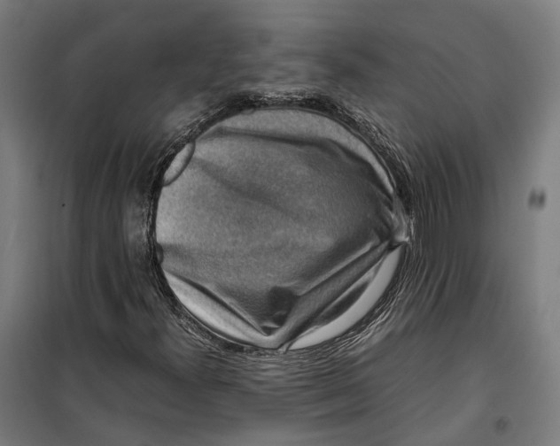 X0000099551300200806061507