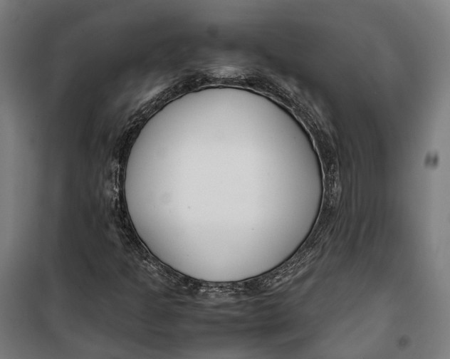 X0000099551301200806061507