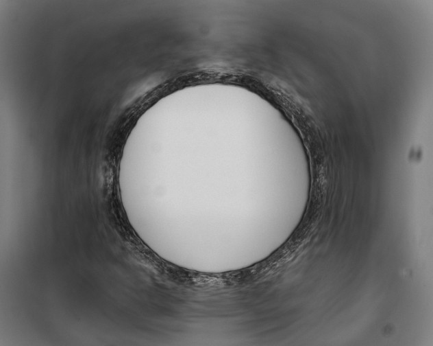 X0000099551302200806061507