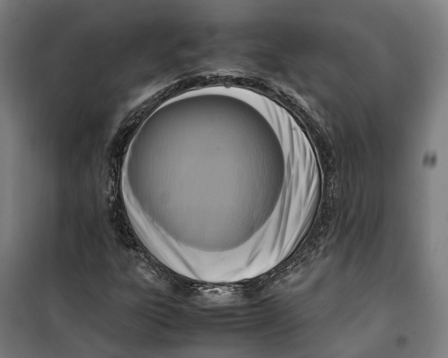 X0000099551303200806061507