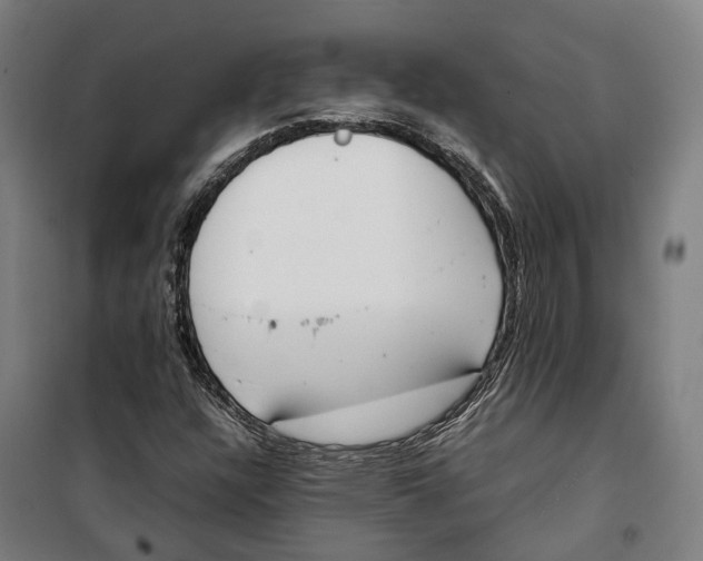 X0000099551304200806061507