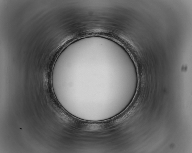 X0000099551305200806061507